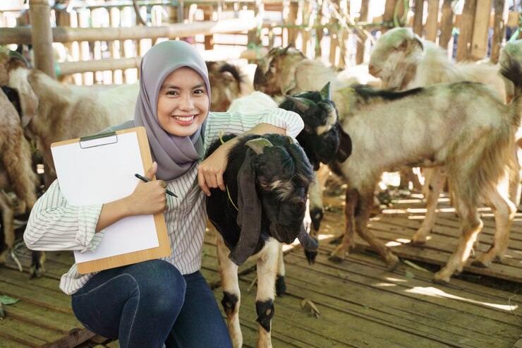 Keuntungan Menggunakan Jasa Aqiqah Profesional di Bandung